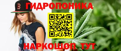 шишки Краснокаменск