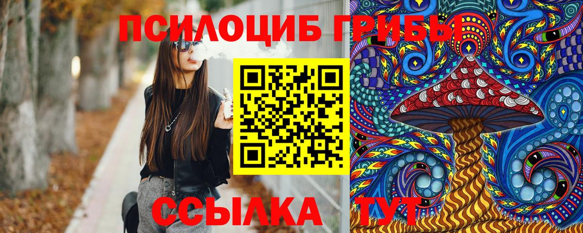 Псилоцибиновые грибы мицелий Жуковский