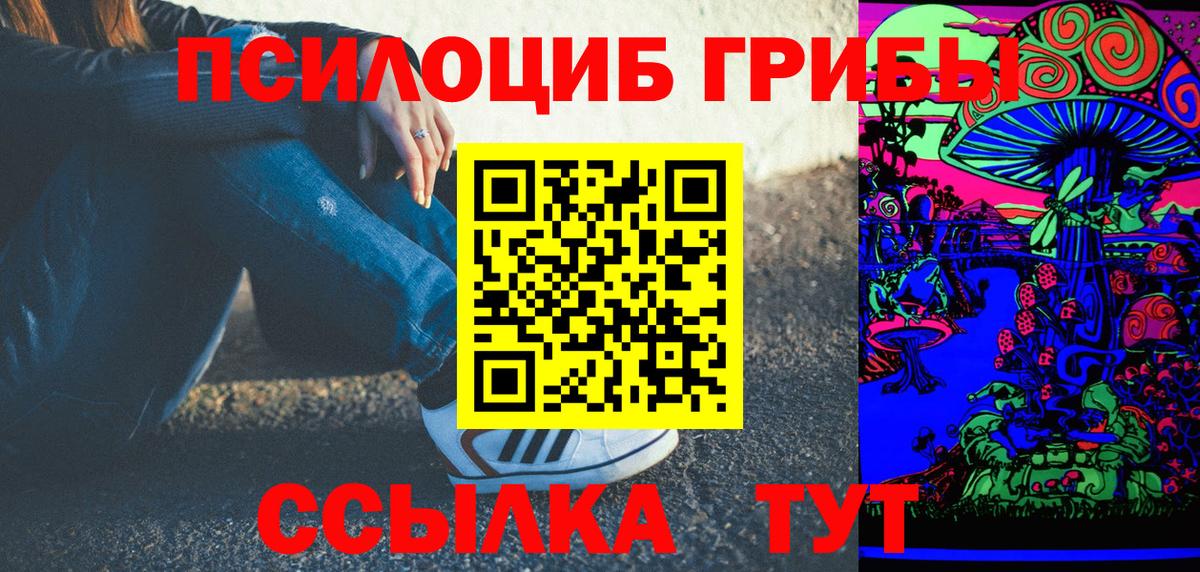 Жуковский  Псилоцибиновые грибы Cubensis  Псилоцибиновые грибы GOLDEN TEACHER  Вход с VPN 